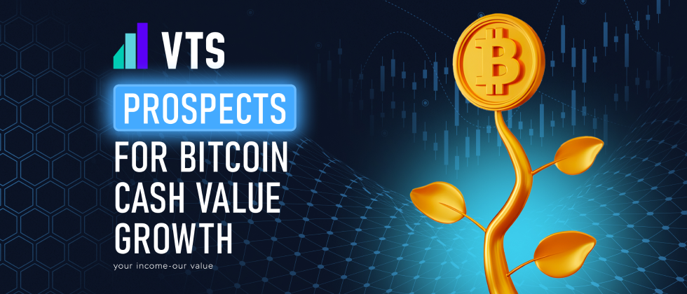 Prospects for Bitcoin Cash Value Growth: A Strategic Opportunity for VTS